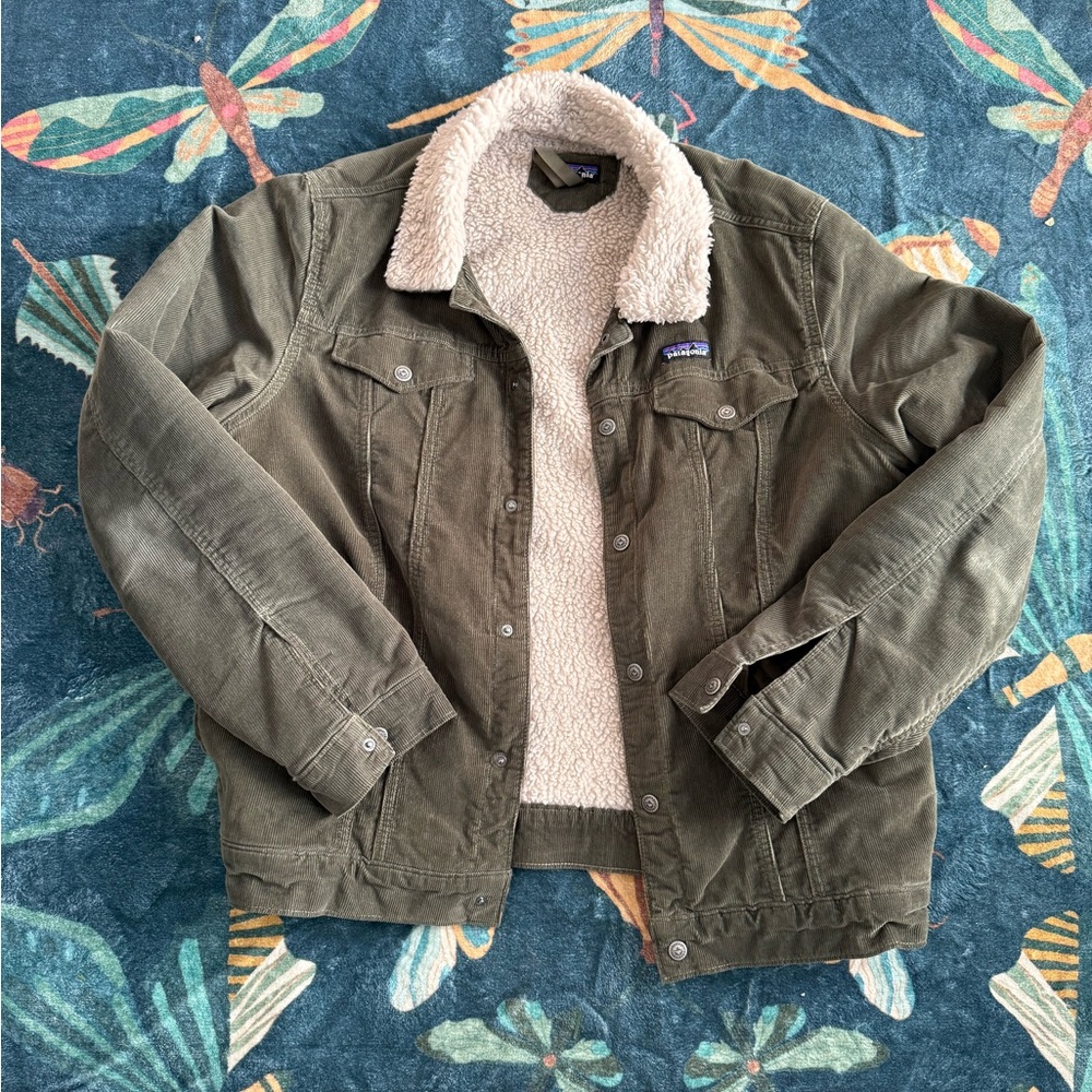 Patagonia Men's Pile-Lined Trucker Jacket in Basin Green